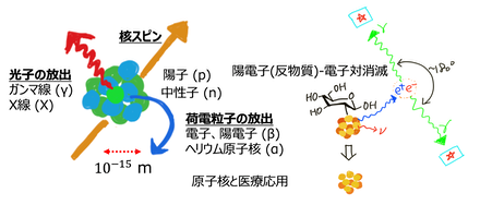 スクリーンショット 2021-03-25 13.31.04